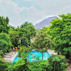 Queen Room Pool View